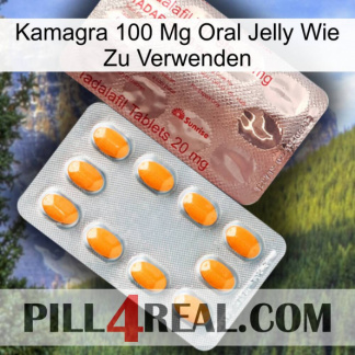 Kamagra 100 Mg Oral Jelly How To Use new13